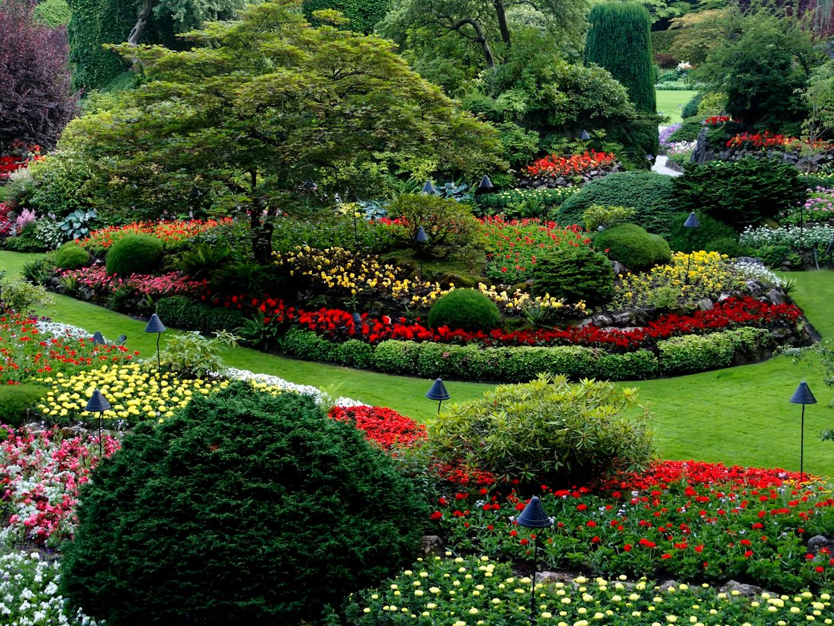 Residential landscape design with planting and paths