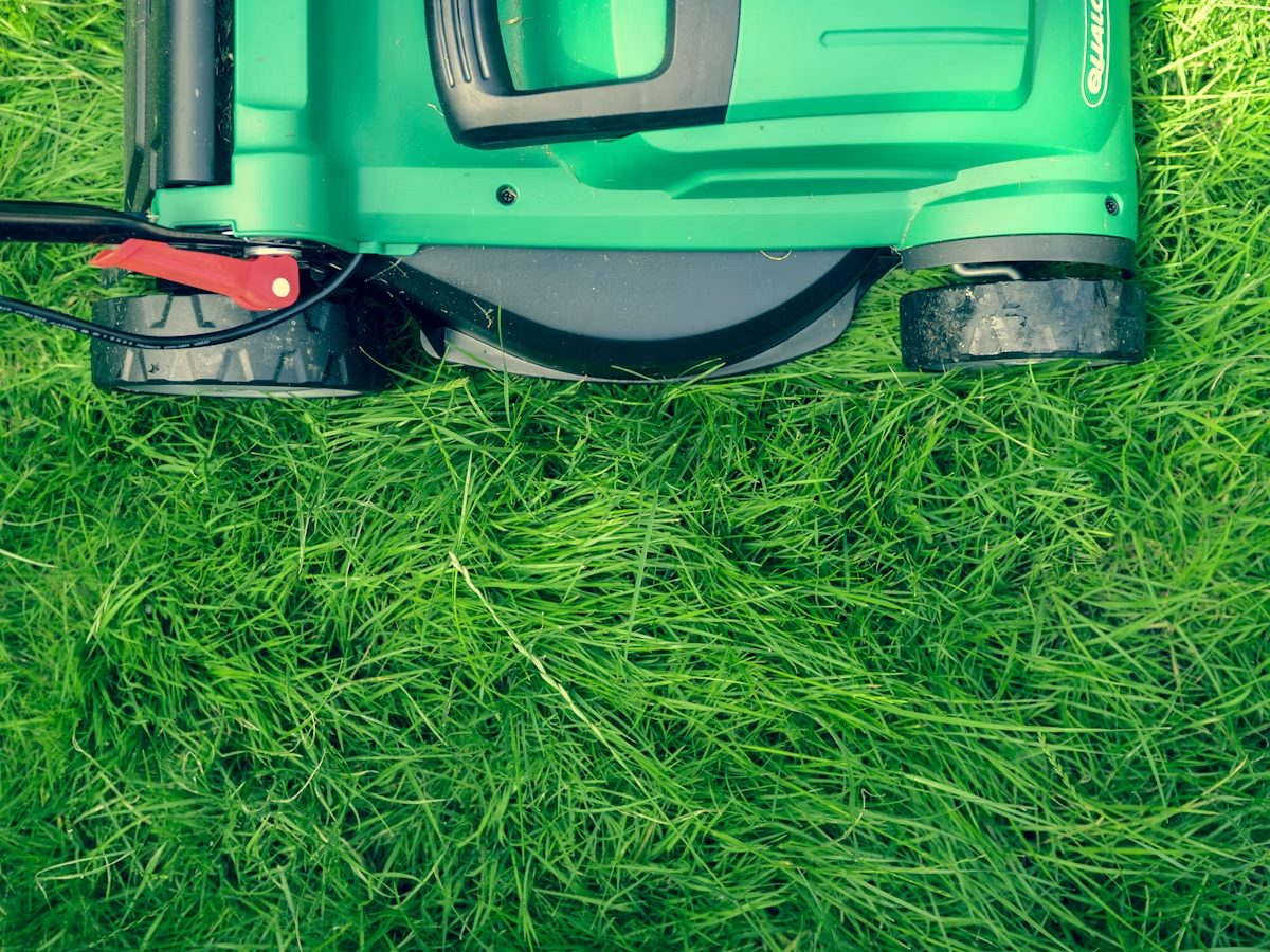 Lawn maintenance and grounds care